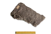 F 01277
<br/>
<br/>
<em></em>